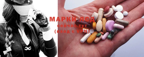 PSILOCYBIN Аркадак