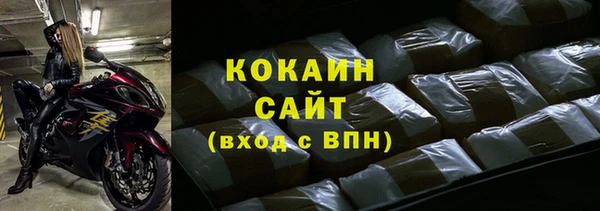 PSILOCYBIN Аркадак
