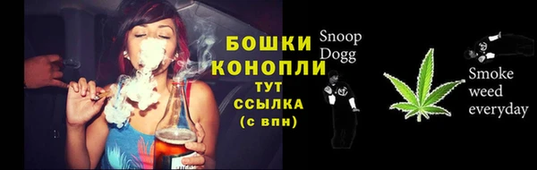 PSILOCYBIN Аркадак