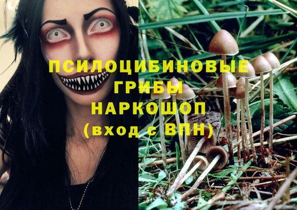PSILOCYBIN Аркадак