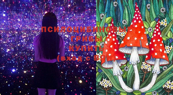 PSILOCYBIN Аркадак