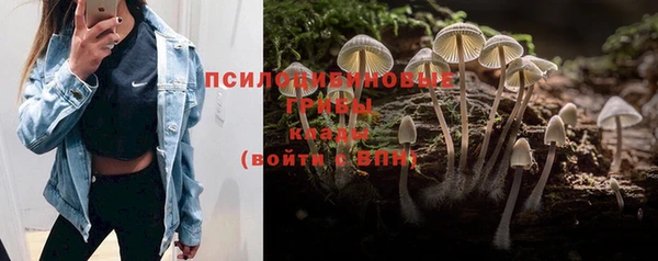 ALPHA-PVP Армянск