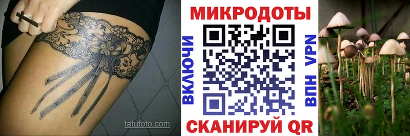 Псилоцибиновые грибы мицелий  купить наркотики цена  Устюжна 